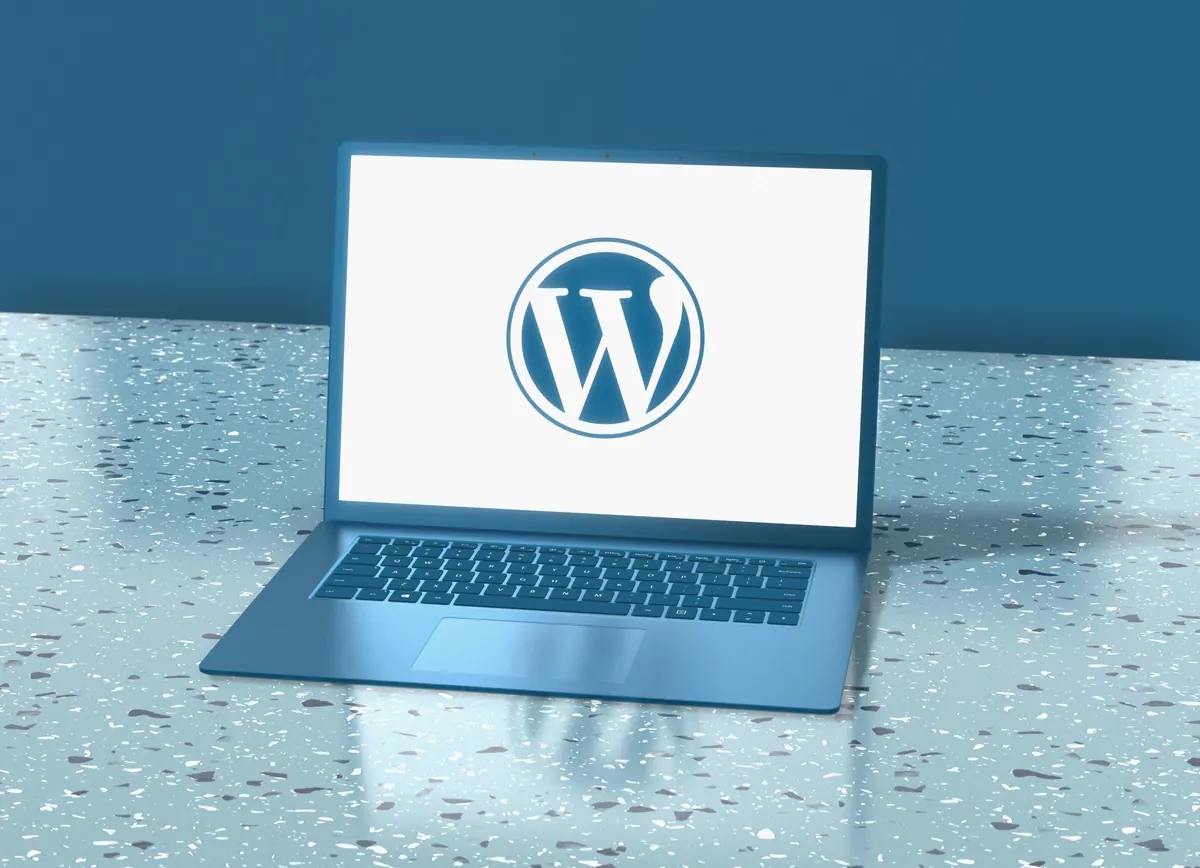 WordPress and CMS website cost factors